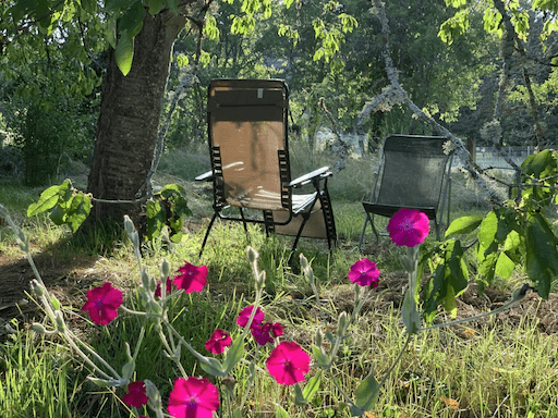 A deckchair under the cherry trees in the garden