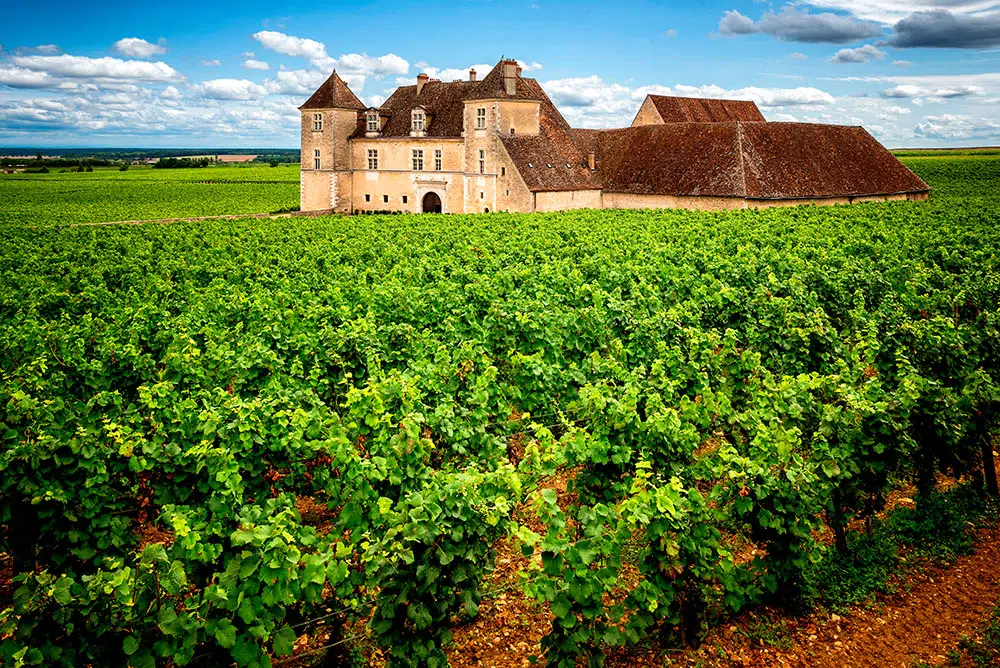 Schloss Vougeot und Weinberge