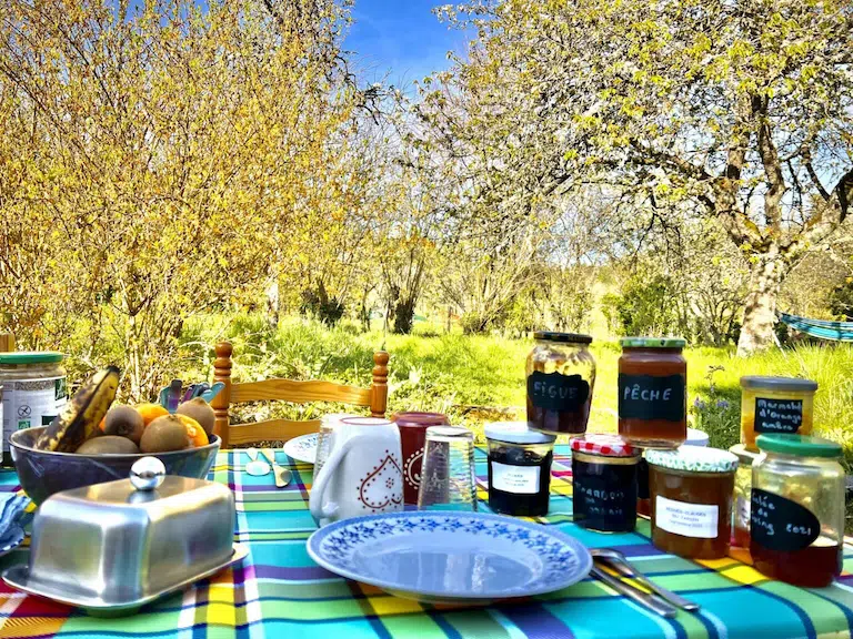 Vegetarian breakfast table set in the B&B garden